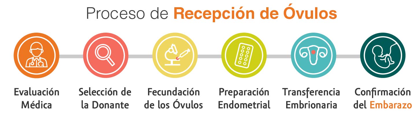 recepcion-ovulos